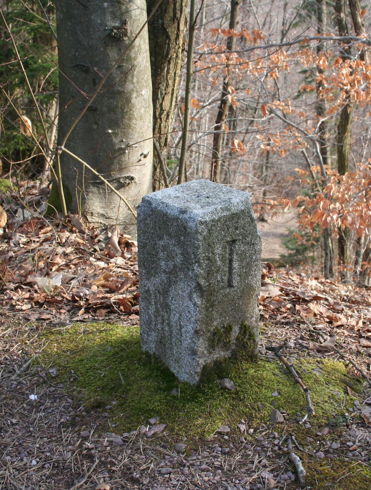 Mejni kamen med Nemčijo in Italijo. Lepo je vidna vklesana črka I, ki predstavlja Italijo. Avtor fotografije: Božidar Flajšman.