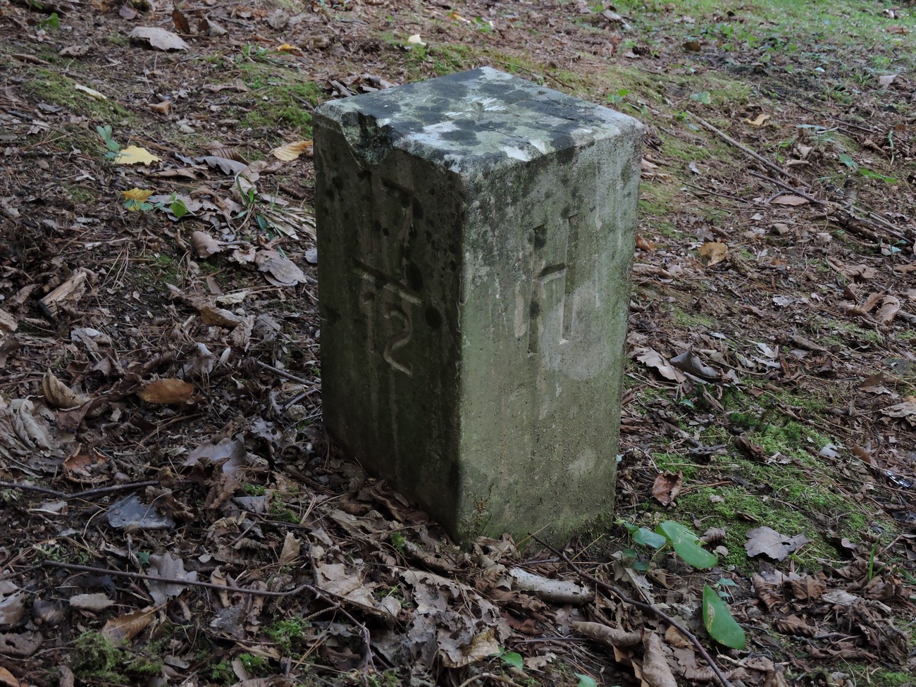 A boundary marker between the Independent State of Croatia and Germany at Nova vas. Author: Matija Zorn.