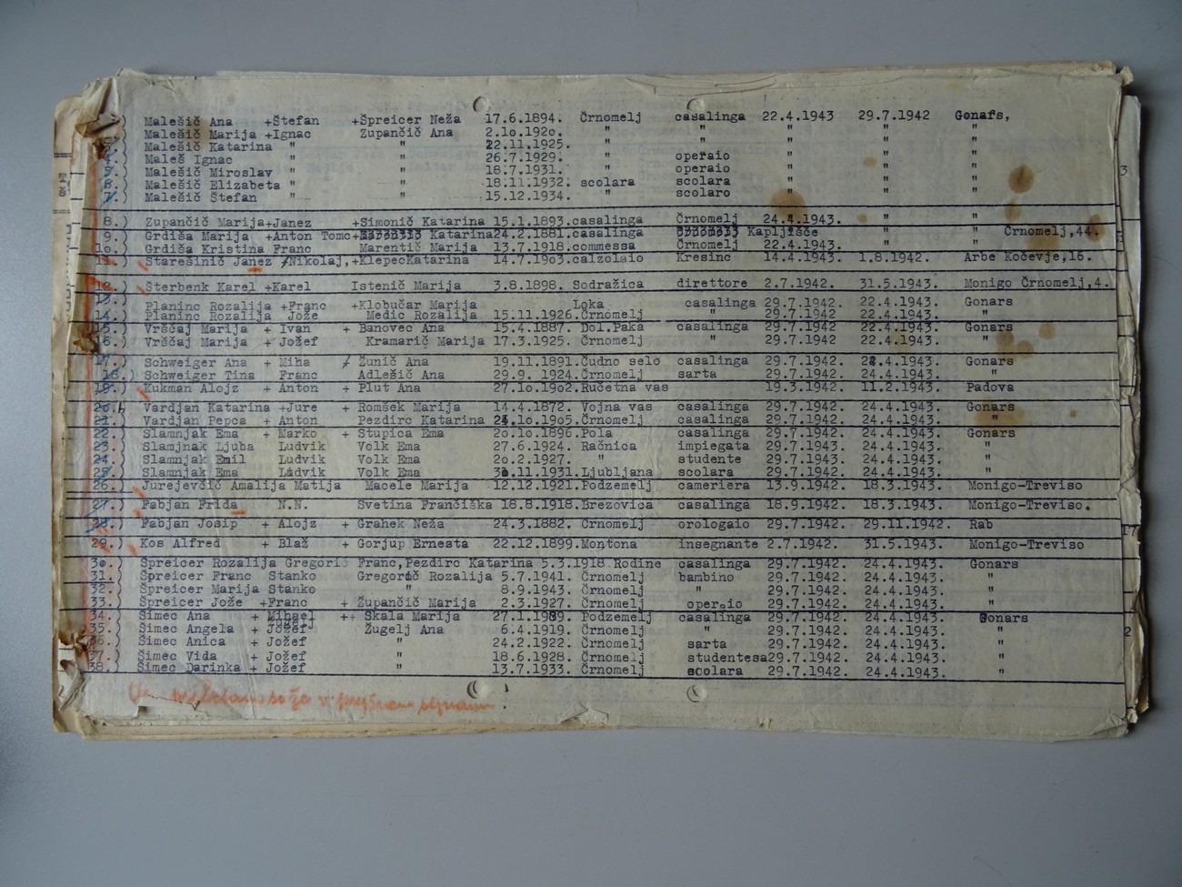 An excerpt from an Italian list of internees who were taken from Črnomelj to Italian camps. This list also mentions Darinka (Darka) Šimec (married name Čop) and the women in her family. Archives of the RS.