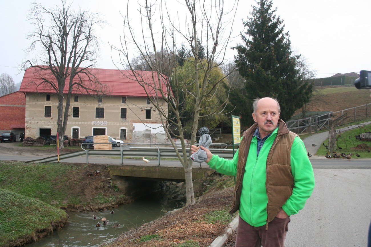 Ludvik Dajč in front of the family mill in Sotina along the Mlinščica creek, November 23, 2018. The mill and homestead were annexed to Hungary after the occupation, separated from Germany by the nearby Lendava creek. Author: Sonja Bezenšek.